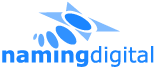 namingdigital.com